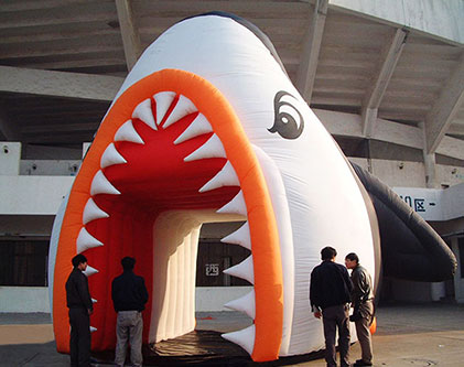 Custom Gaint Inflatable Advertising-1